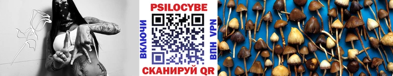 как найти закладки  Дзержинск  Псилоцибиновые грибы GOLDEN TEACHER 