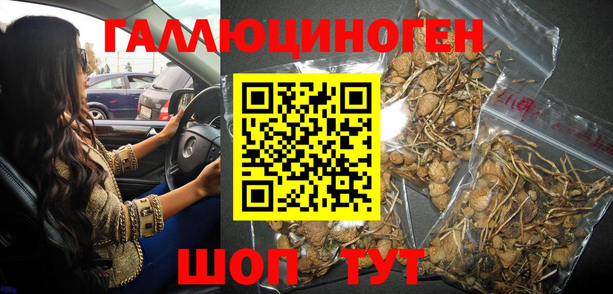 Псилоцибиновые грибы MAGIC MUSHROOMS Дзержинск
