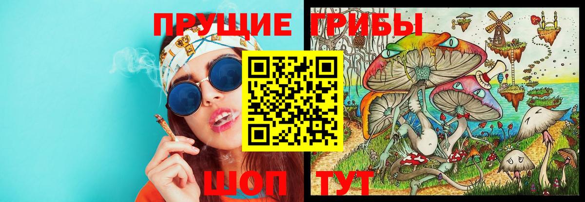 Галлюциногенные грибы мицелий  Псилоцибиновые грибы ЛСД  Дзержинск  Вход с VPN 
